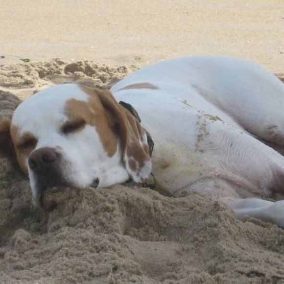 Meet your Posher, Natalia - Picture 1 of 1